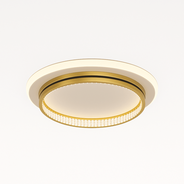 Premise Ceiling Light