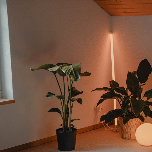 Diopter Floor Lamp