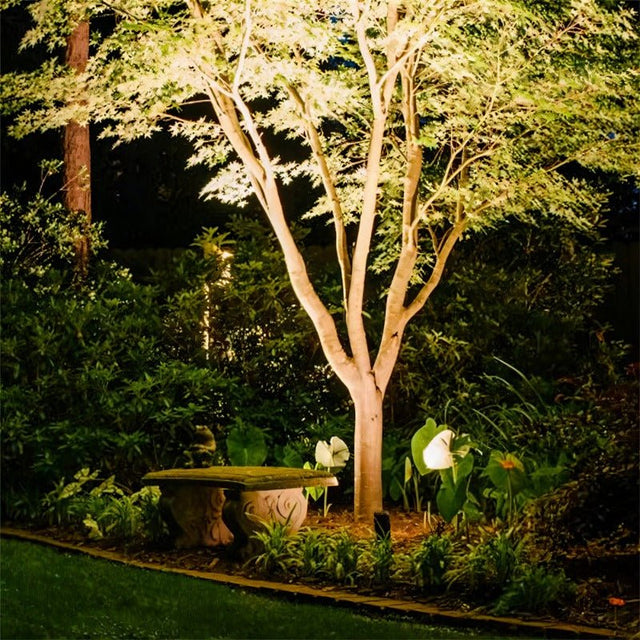 Paljakka Spotlight