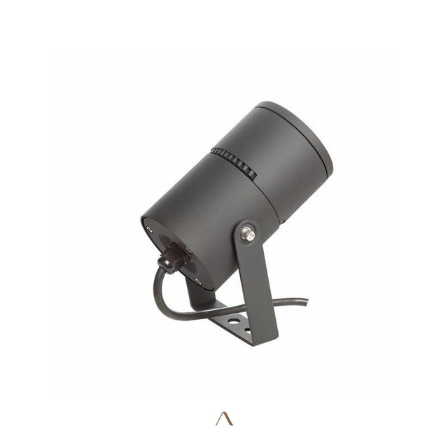 Partakko Spotlight