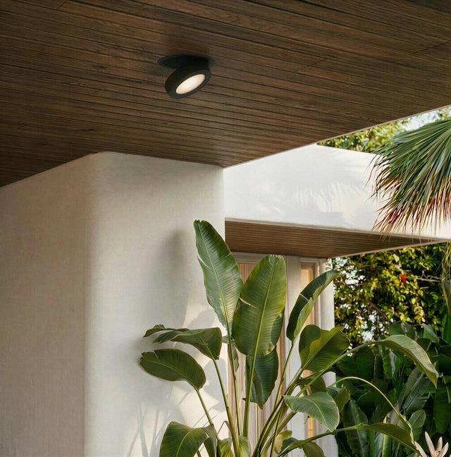 Peridot Downlight