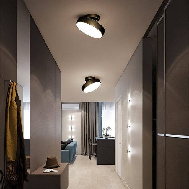 Bismuth Ceiling Light
