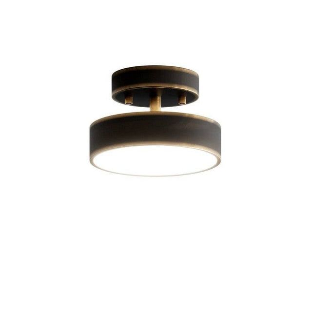 Bismuth Ceiling Light