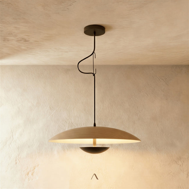 Schelde Pendant Light
