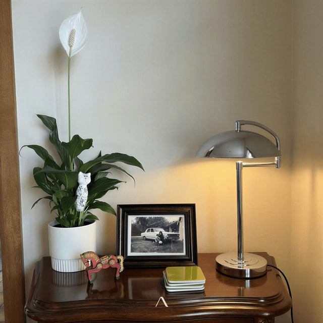 Setcases Table Lamp