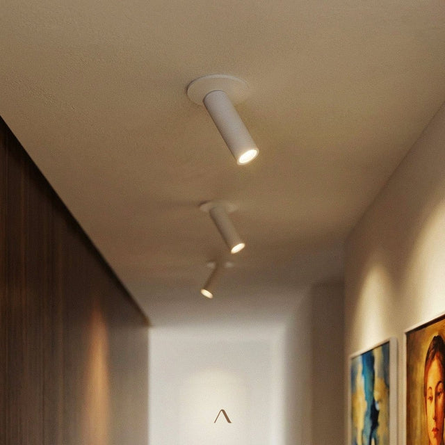 Sheathing Ceiling Light