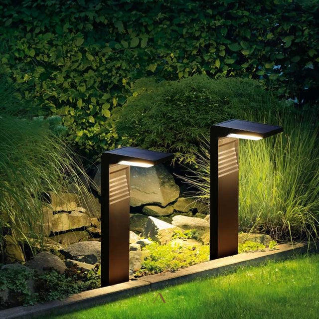 Silica Garden Lamp