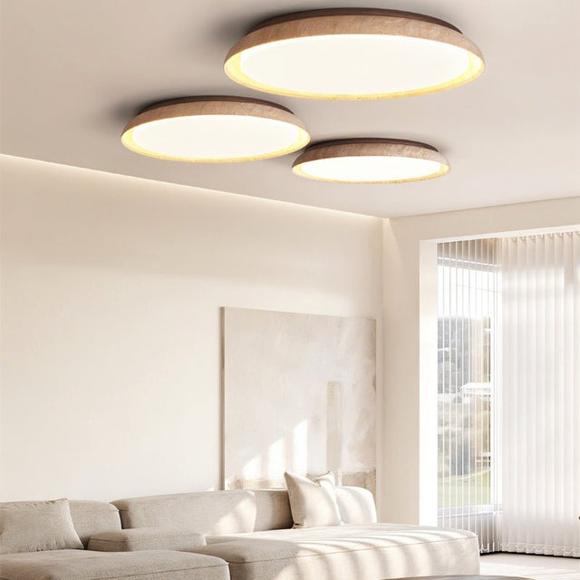 Tech Ceiling Light