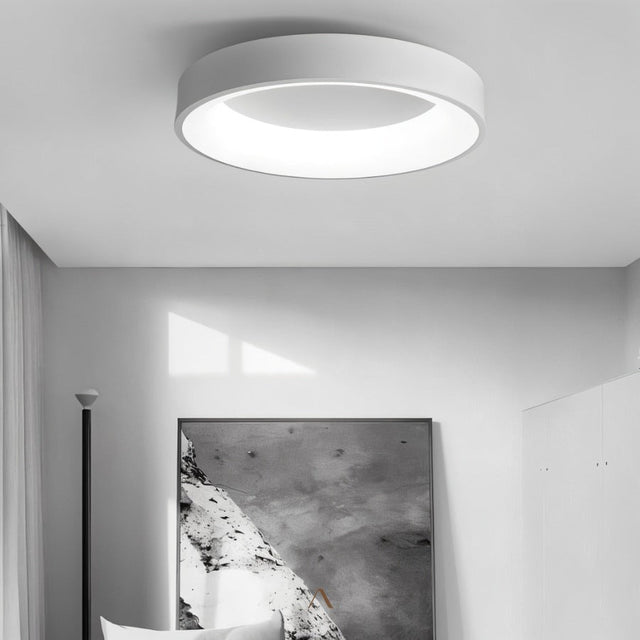 Stay Ceiling Light