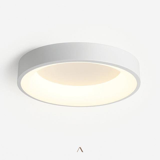 Stay Ceiling Light