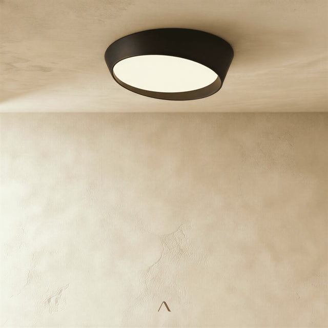Stern Ceiling Light