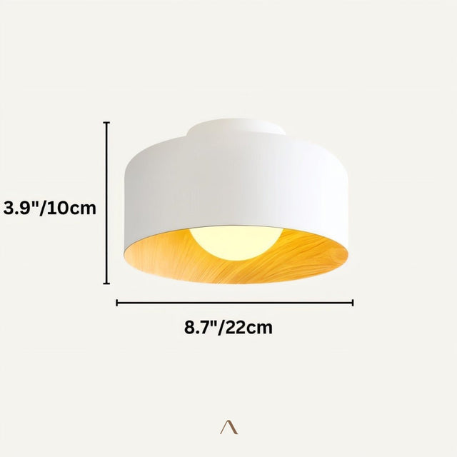 Traben Ceiling Light