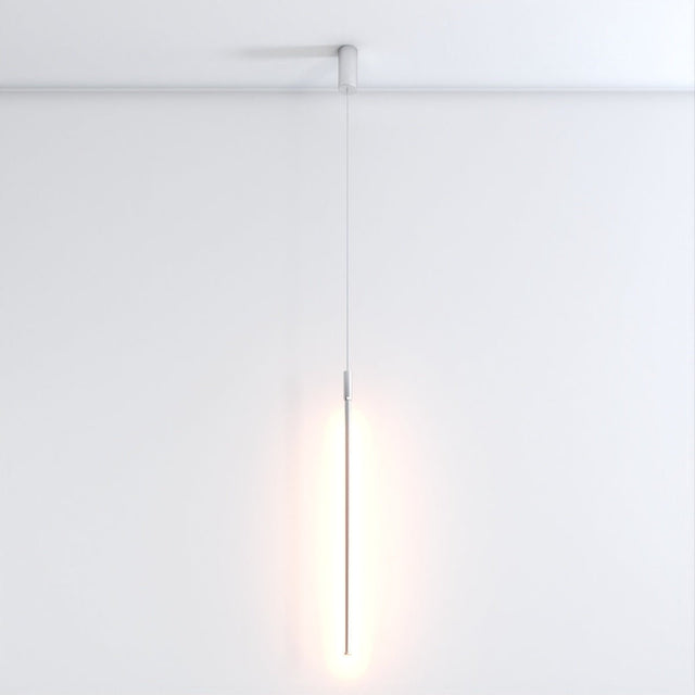 Zoom Pendant Light