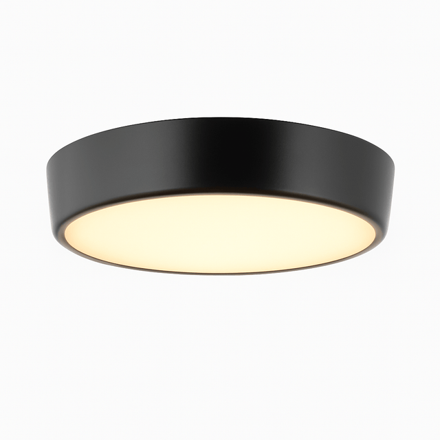 Balzheim Ceiling Light