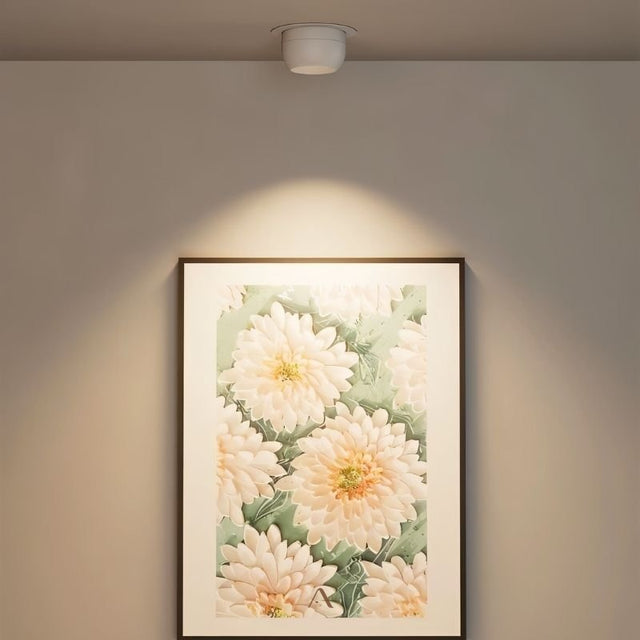 Vosne Downlight