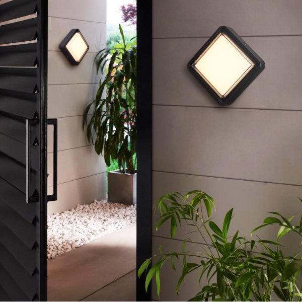 Amore Outdoor Surface Mount Light