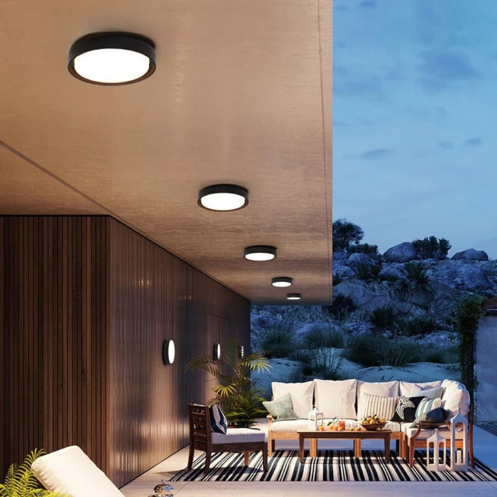 Orbis Surface Mount Light