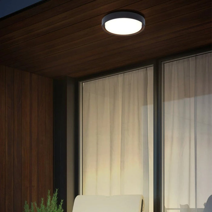 Orbis Surface Mount Light