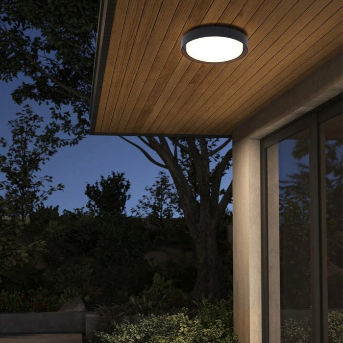 Orbis Surface Mount Light