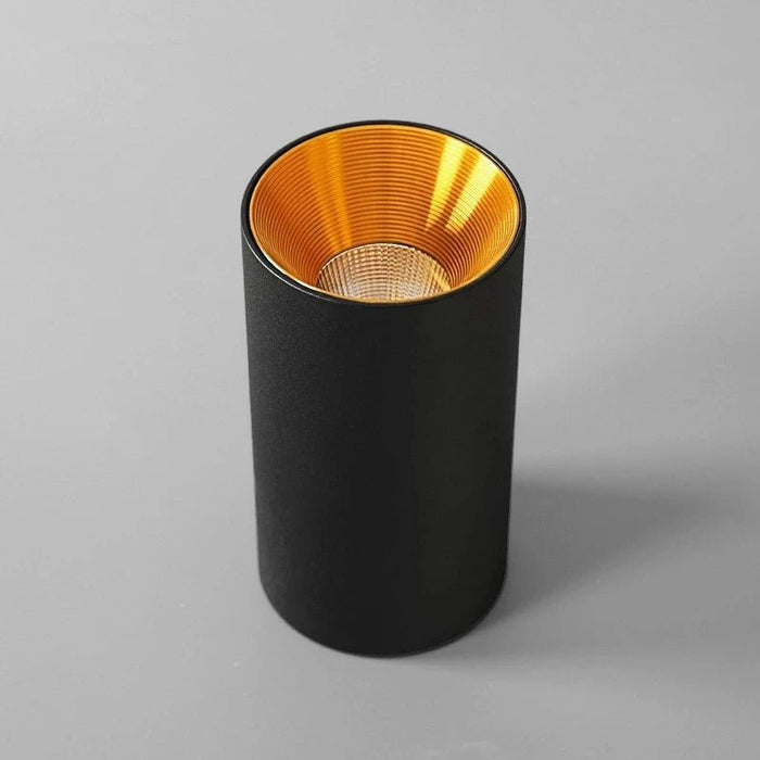 Wilhelm Downlight
