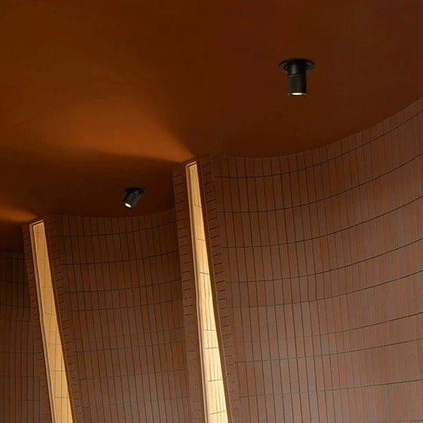 Luxe Halo Downlight