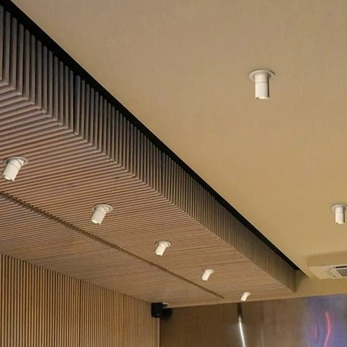Luxe Halo Downlight