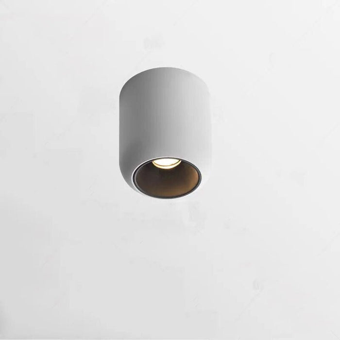 Amélie Downlight