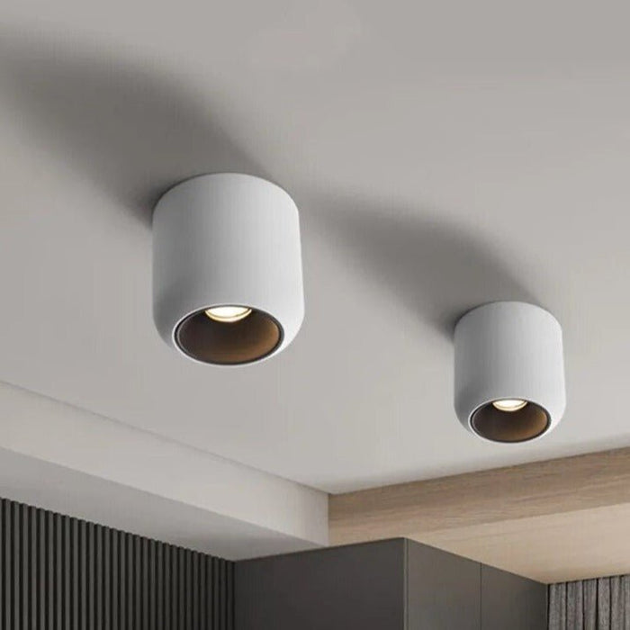 Amélie Downlight