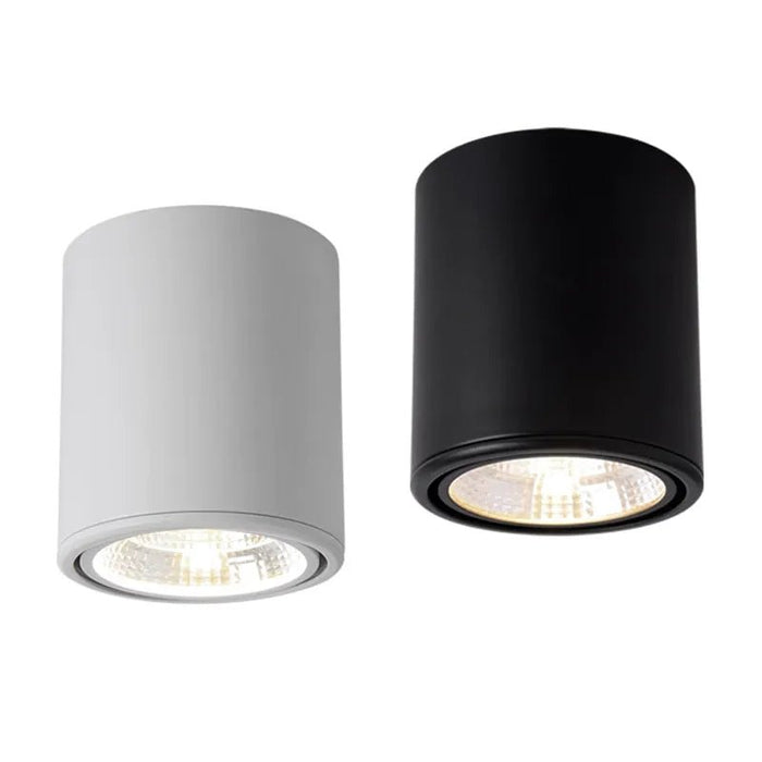 Nadja Downlight