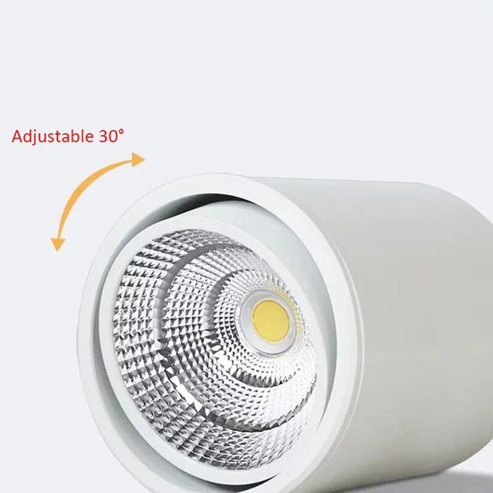 Nadja Downlight