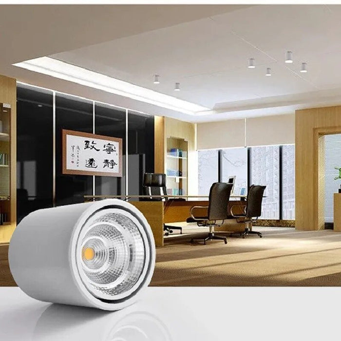 Nadja Downlight