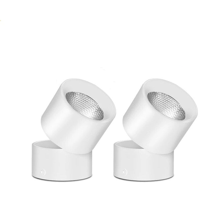 Lars Downlight
