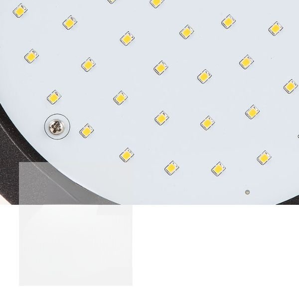 Phos Outdoor Wall Lamp