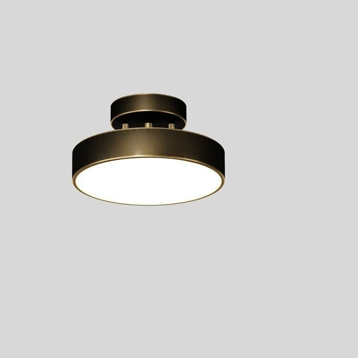 Astral Ceiling Light