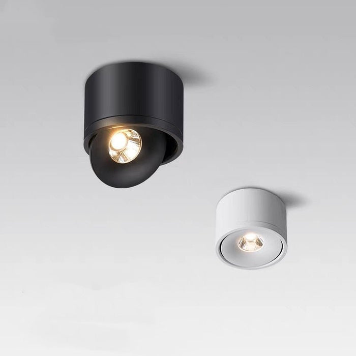 Aurora Ceiling Light