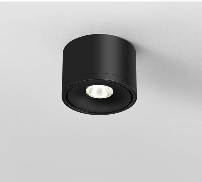 Aurora Ceiling Light