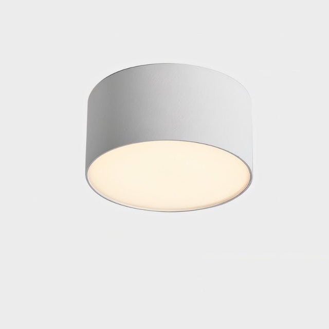 Genner Ceiling Light