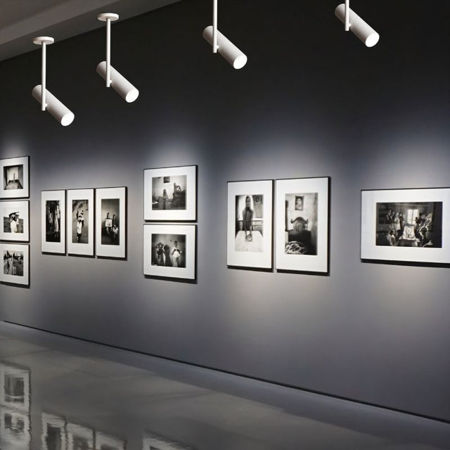 Aalum Ceiling Light