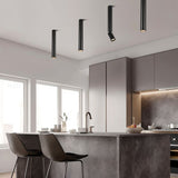 Aale Ceiling Light