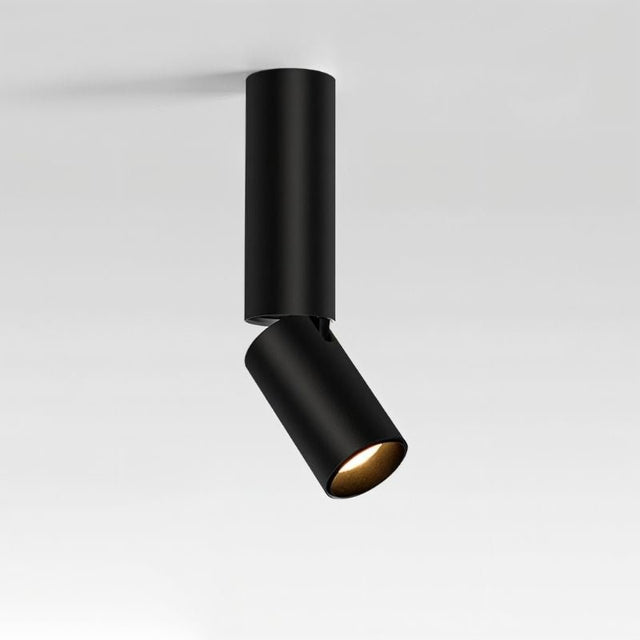Aale Ceiling Light