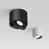 Aurora Ceiling Light