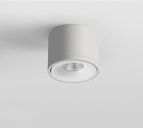 Aurora Ceiling Light