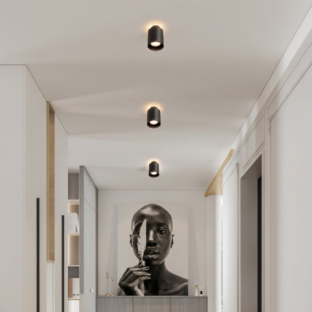 Eltang Ceiling Light