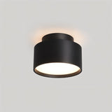 Eltang Ceiling Light
