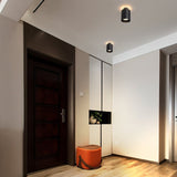 Eltang Ceiling Light