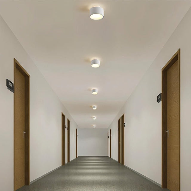 Eltang Ceiling Light