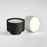 Eltang Ceiling Light