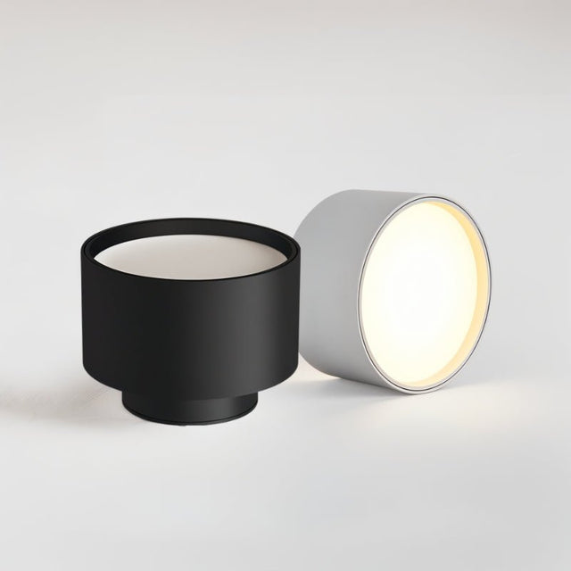 Eltang Ceiling Light