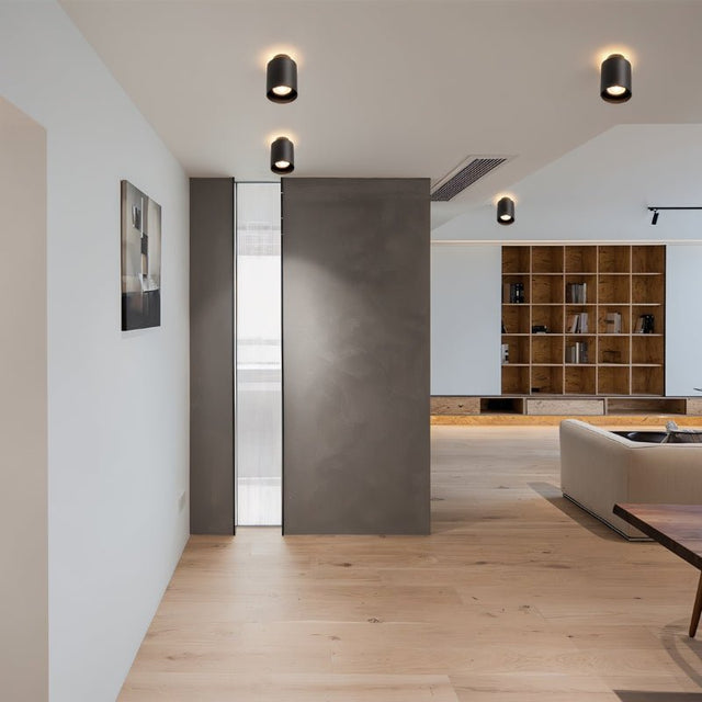 Eltang Ceiling Light