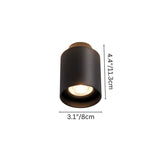 Eltang Ceiling Light